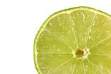 Lime Slice 