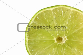 Lime Slice 
