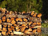 firewood in pile