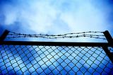 fence and barbed wire