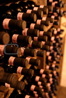 Wine celler with bottles