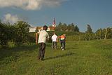 Kids runing on vineyard