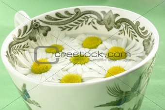 herbal tea - camomile