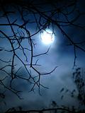 Eerie Autumn Moon