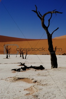 Dooie Vlei in Namib desert, Namibia