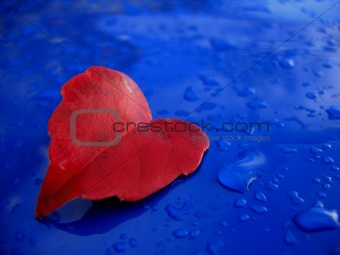 red on the blue