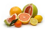 Grapefruit, lemon, pomelo and mandarin