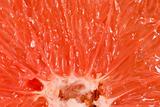 Texture of grapefruit