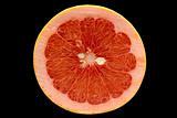 Grapefruit isolated on black background with clipping path