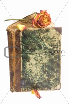 old book cover & rose