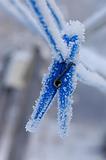 Clothespin in winter 
