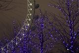 London Eye #4