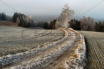 frosty fields