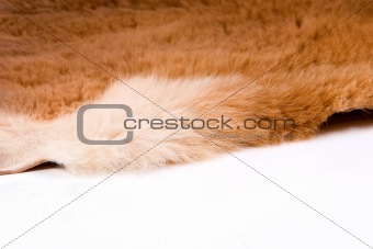 fur edge