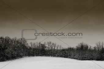 Snow Landscape #1