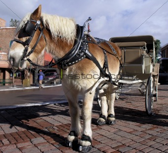 horse and cart 