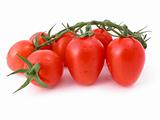 tomatoes against a white background
