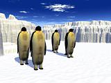 Penguins 20