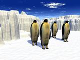 Penguins 21