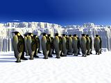 Penguins 6