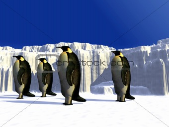 Penguins 14