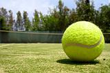 A tennis ball on a court