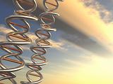 DNA sunrise