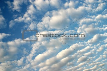Morning clouds
