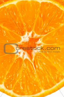 Orange slices closeup