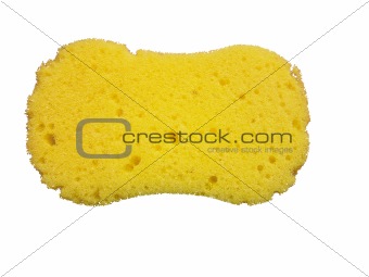 Sponge 2