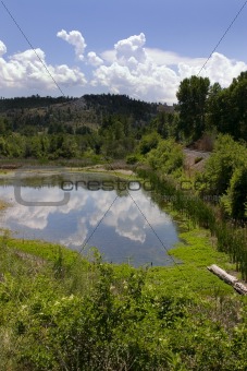 Pond, Mountains and Green in Helena Montana