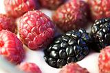 fresh berries dessert