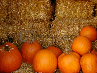 Pumpkins and hay