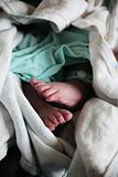 Baby's  Feet