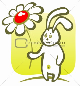 rabbit with flower