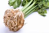 detail of celery root plant on white background