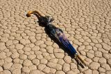 Umbrella on Cracked, Parched Earth