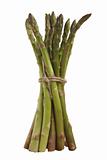 bunch of fresh asparagus isolated