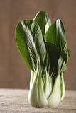 chinese cabbage bok choy pak-choi on rustic brown background