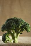 green fresh broccoli on brown rustic background