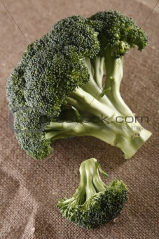 green broccoli head on brown hessian rustic background