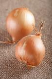 two white onions bulb on brown hessian rustic background