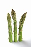 three asparagus spears standing over white backgrond with light 