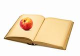 open book with apple