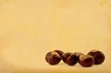 chestnuts on retro background