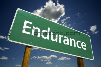 Endurance Road Sign
