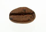 coffee bean - real macro
