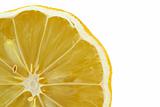 lemon profile on white