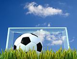 soccer-ball and door on a grass field