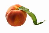 fresh ripe peach